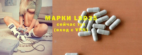 ешки Белокуриха