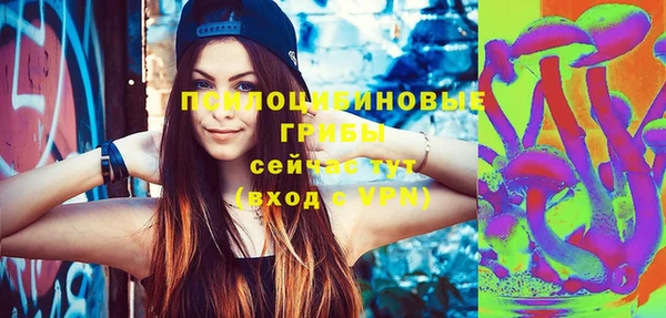 сатива Богородицк