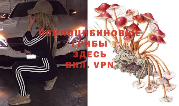 прущая мука Богданович