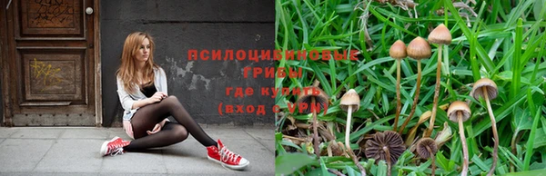 сатива Богородицк