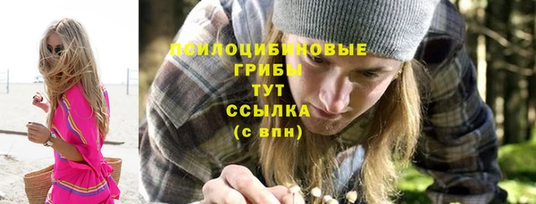 сатива Богородицк