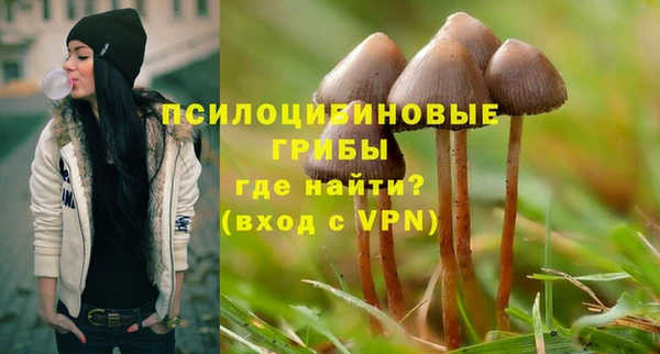 хмурый Нязепетровск