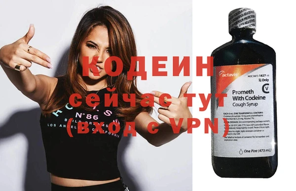 сатива Богородицк