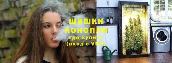 ешки Белокуриха