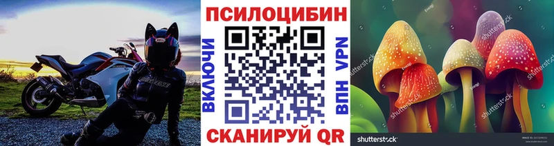 Псилоцибиновые грибы Cubensis Эртиль